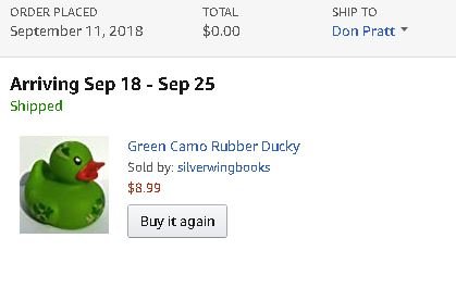 duck.JPG
