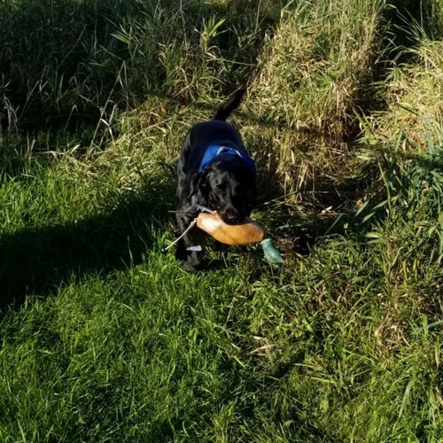 20180913_221202.jpg
