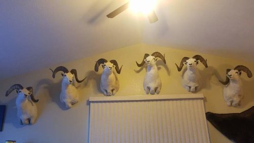 20180128_095422.jpg