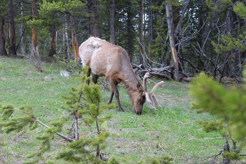 IMG_0689.jpg IMG_0689.jpg