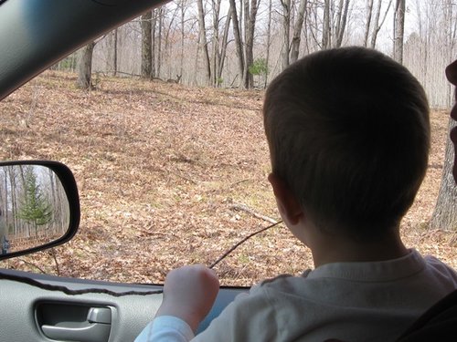 Watching a doe.jpg Watching a doe.jpg