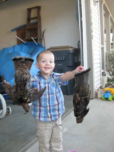 Future grouse killer.jpg Future grouse killer.jpg
