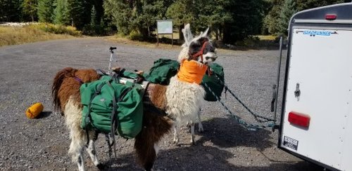 thumbnail_20180907_112512.jpg thumbnail_20180907_112512.jpg