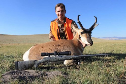 pronghorn 2018.jpg