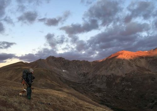 mt.jpg mt.jpg