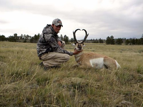 antelope 2013 009.jpg