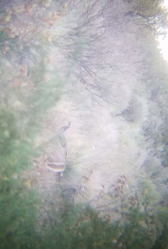 20180929_192535.jpg