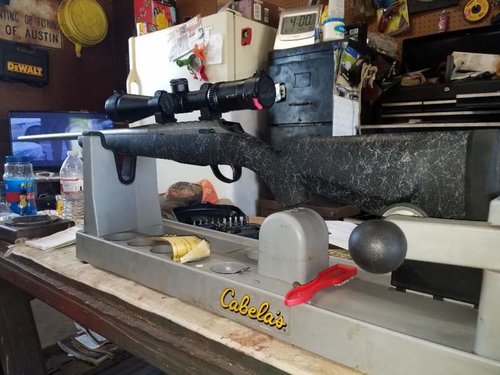 Tikka with Bell Carlson Stock 1.jpg Tikka with Bell Carlson Stock 1.jpg