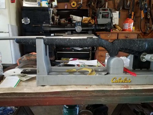 Tikka with Bell Carlson Stock 2.jpg Tikka with Bell Carlson Stock 2.jpg