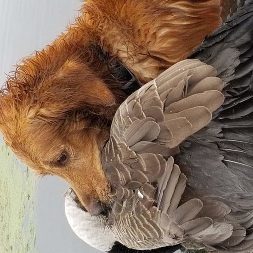 20180930_120317.jpg