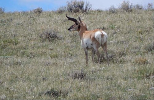 DSCN0420.jpg DSCN0420.jpg