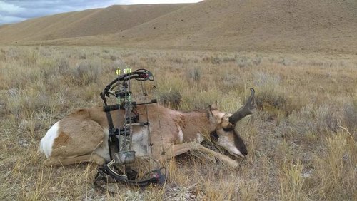 42992862_2070630006329973_6430840384678526976_n.jpg 42992862_2070630006329973_6430840384678526976_n.jpg