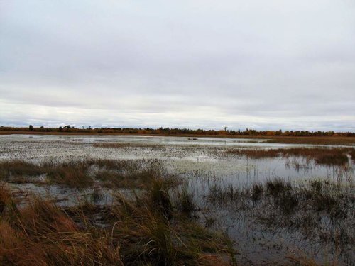 Monson Lake.jpg Monson Lake.jpg