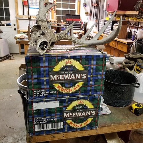 McEwans.jpg