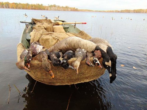 Ducks and Geese from Kreiner Lake (2).jpg Ducks and Geese from Kreiner Lake (2).jpg