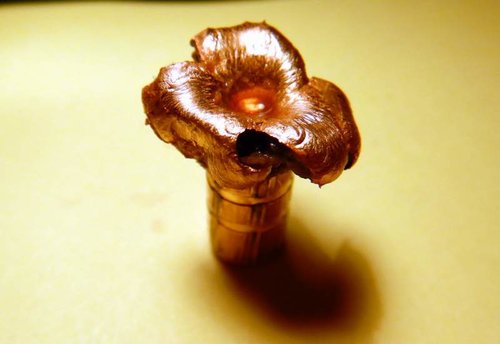 shroom.jpg