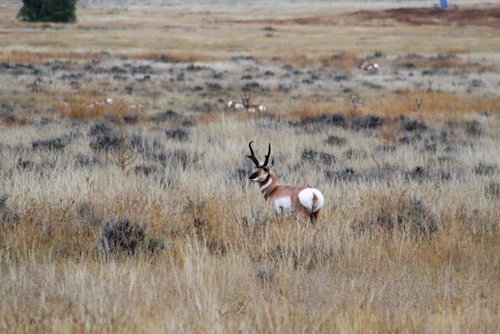 IMG_0554 (2).jpg IMG_0554 (2).jpg