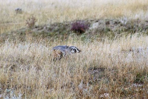 IMG_0616.jpg IMG_0616.jpg
