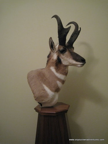 IMG_4480.JPG IMG_4480.JPG