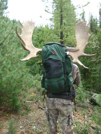 09 WA Moose Hunt 039.jpg