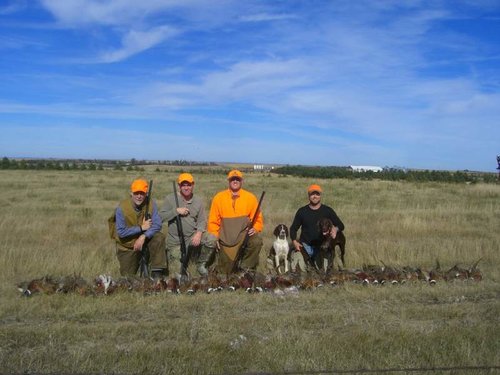 Hunt talk 1 pheasant.jpg