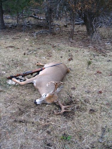 Mark's buck.jpg