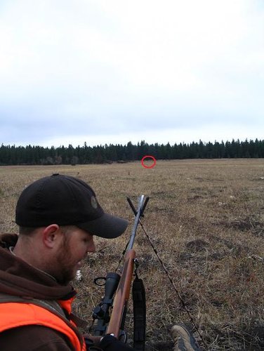 long shot.jpg