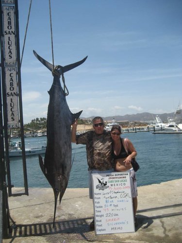Cabo 2009 113.jpg