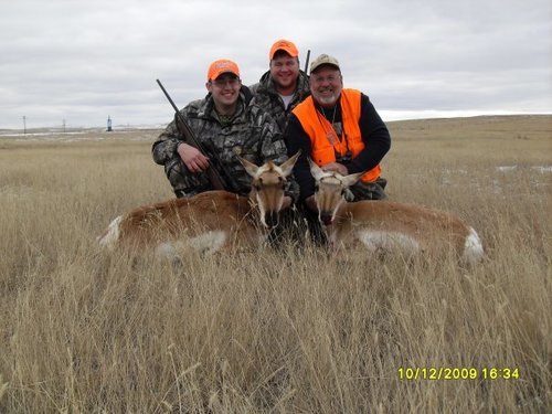 antelope2.jpg