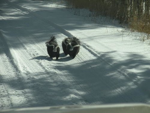 hunting 2009 wk 1 046.JPG