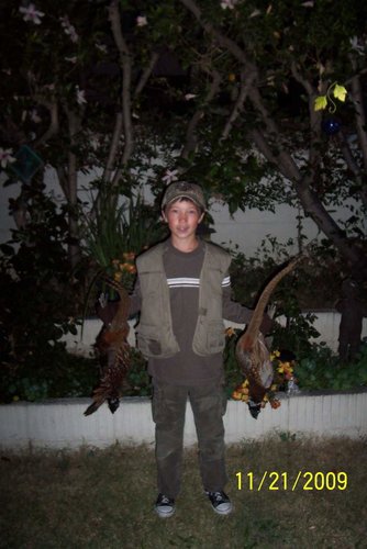 Michael's pheasants.jpg