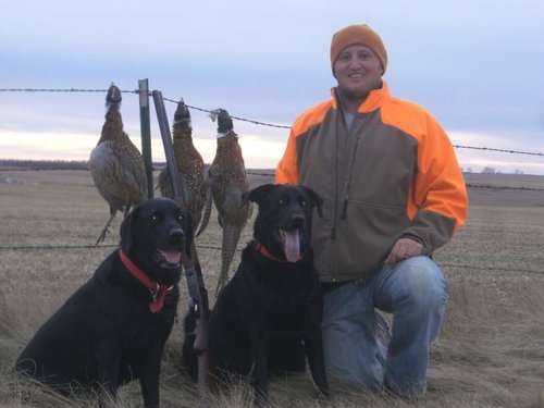 pheasant 5 09 TG.jpg