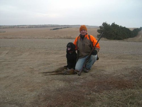 Pheasant 7 09 TG.jpg