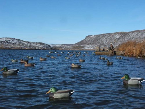Duck hunting-18.jpg