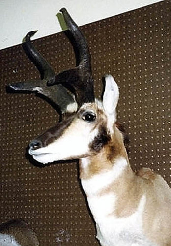 1985_MikeOHaco.JPG 1985_MikeOHaco.JPG