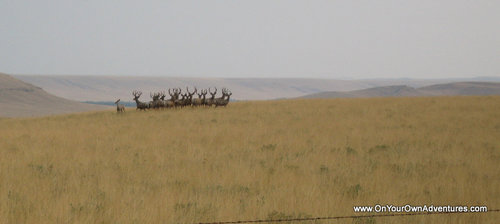 IMG_0478.JPG