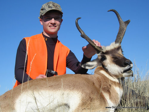 IMG_0555.JPG IMG_0555.JPG