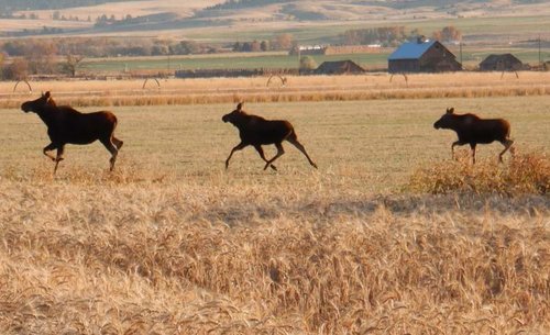 DSCN0336.jpg DSCN0336.jpg