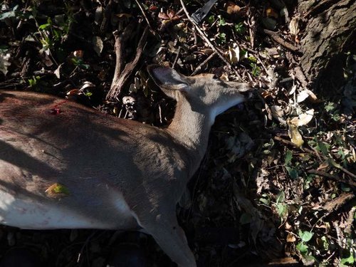 022.jpg