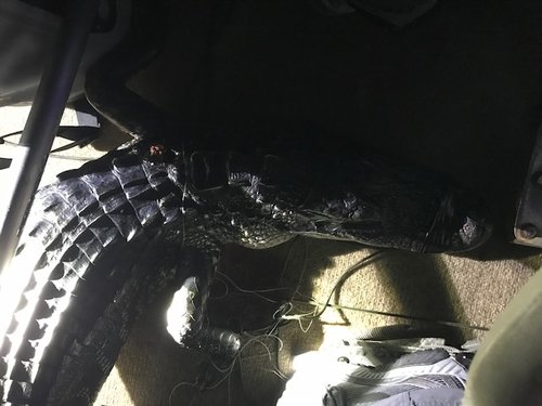 Keeper.jpg