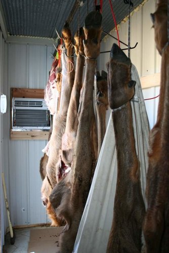 IMG_9506 (640x960).jpg IMG_9506 (640x960).jpg