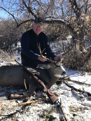 Dad Deer.jpg Dad Deer.jpg