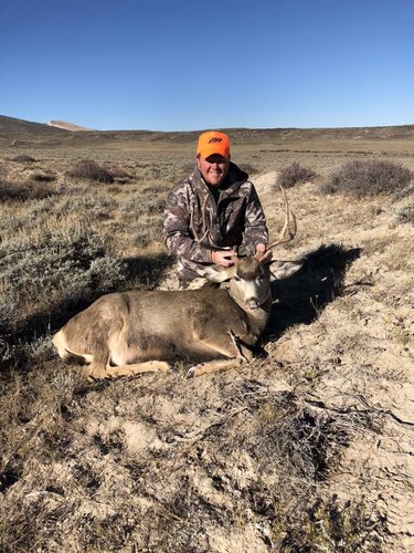 me deer.jpg me deer.jpg