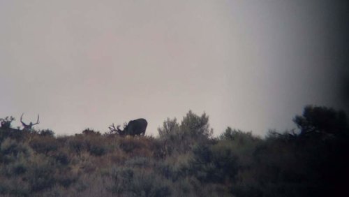 VideoCapture_20181006-092057.jpg