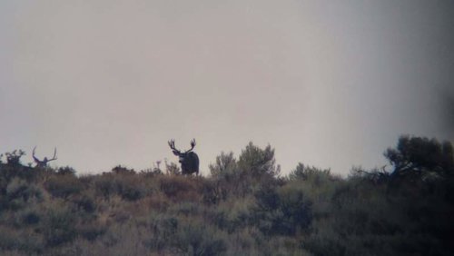 VideoCapture_20181006-092028.jpg