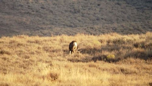 20181002_073907.jpg