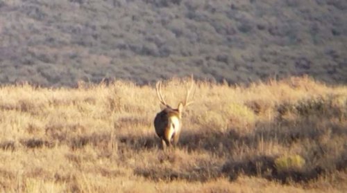 20181002_073714.jpg