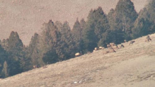 VideoCapture_20181019-101849.jpg VideoCapture_20181019-101849.jpg