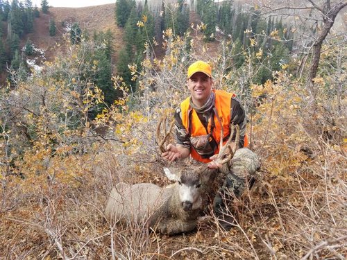 Utah Mule Deer 18.jpg