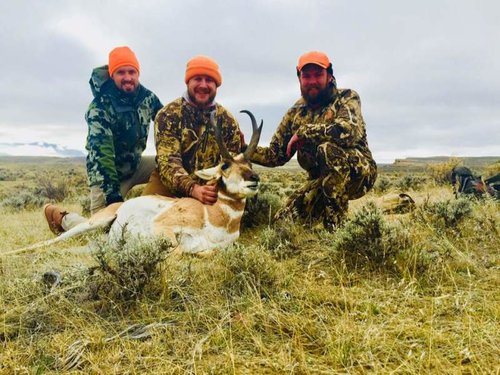 Antelope 2.jpg Antelope 2.jpg